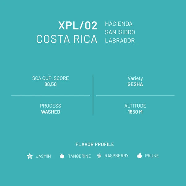 Or Coffee XPL/02 Costa Rica San Isidro Gesha