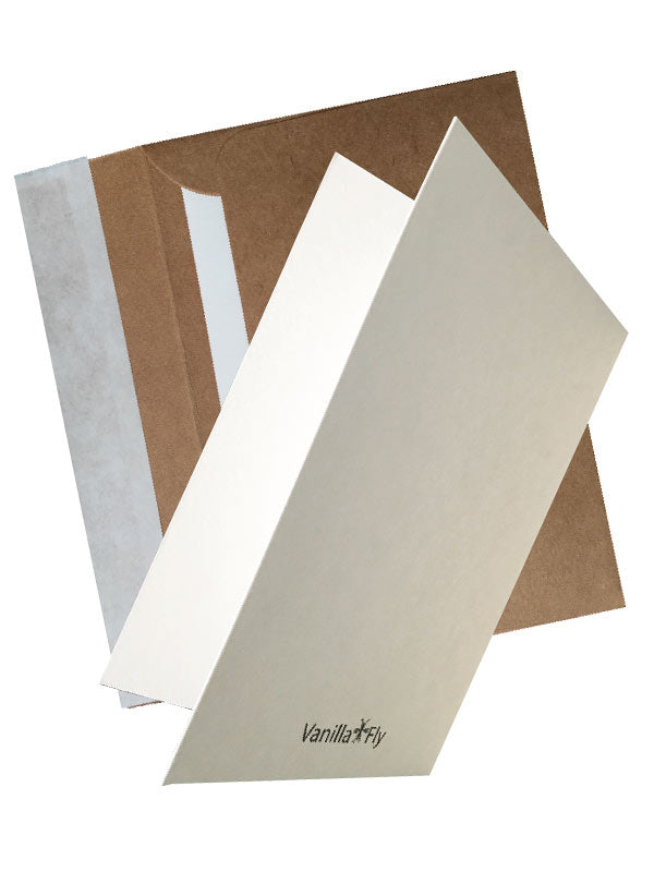 Vanilla Fly Monkey palm tree