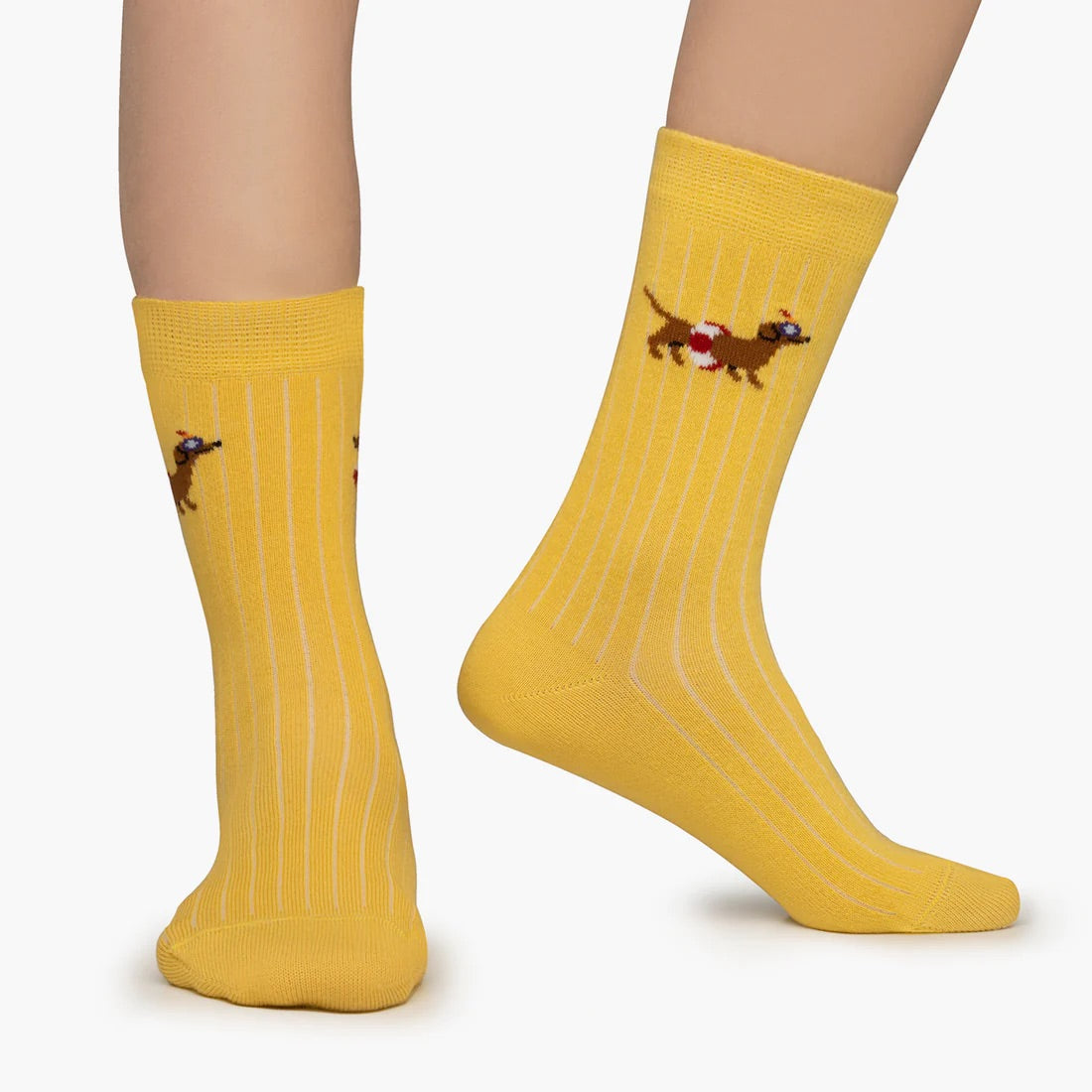 Jimmy lion Kids Ribbed Lifguard dog
