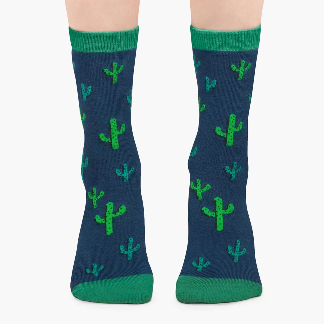 Jimmy Lion Cactus