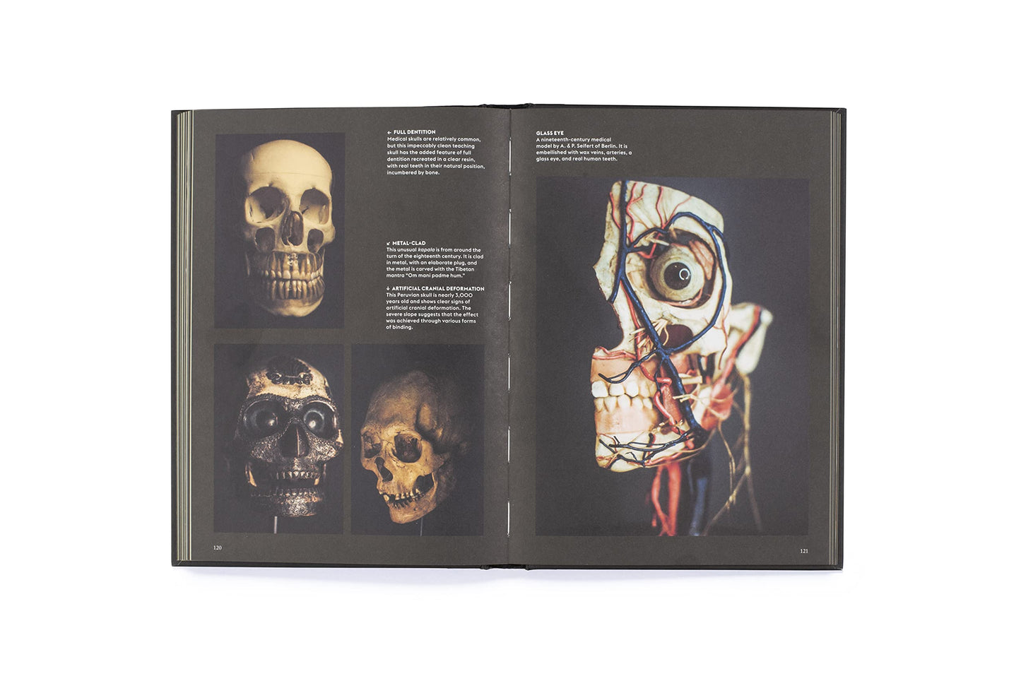 Skulls