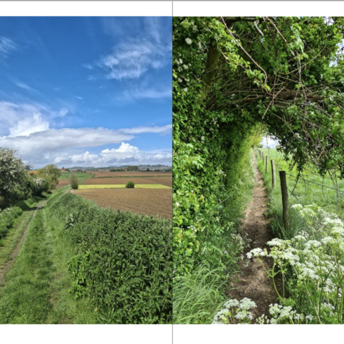 De kleine wandelgids