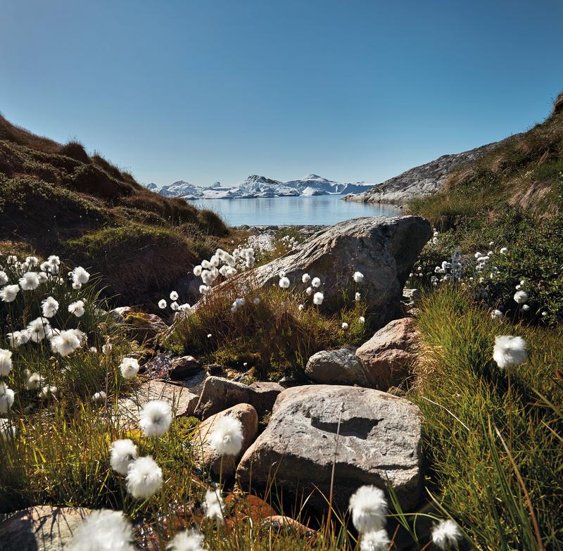 Philimonius Boek Gestalten Nordic by Nature