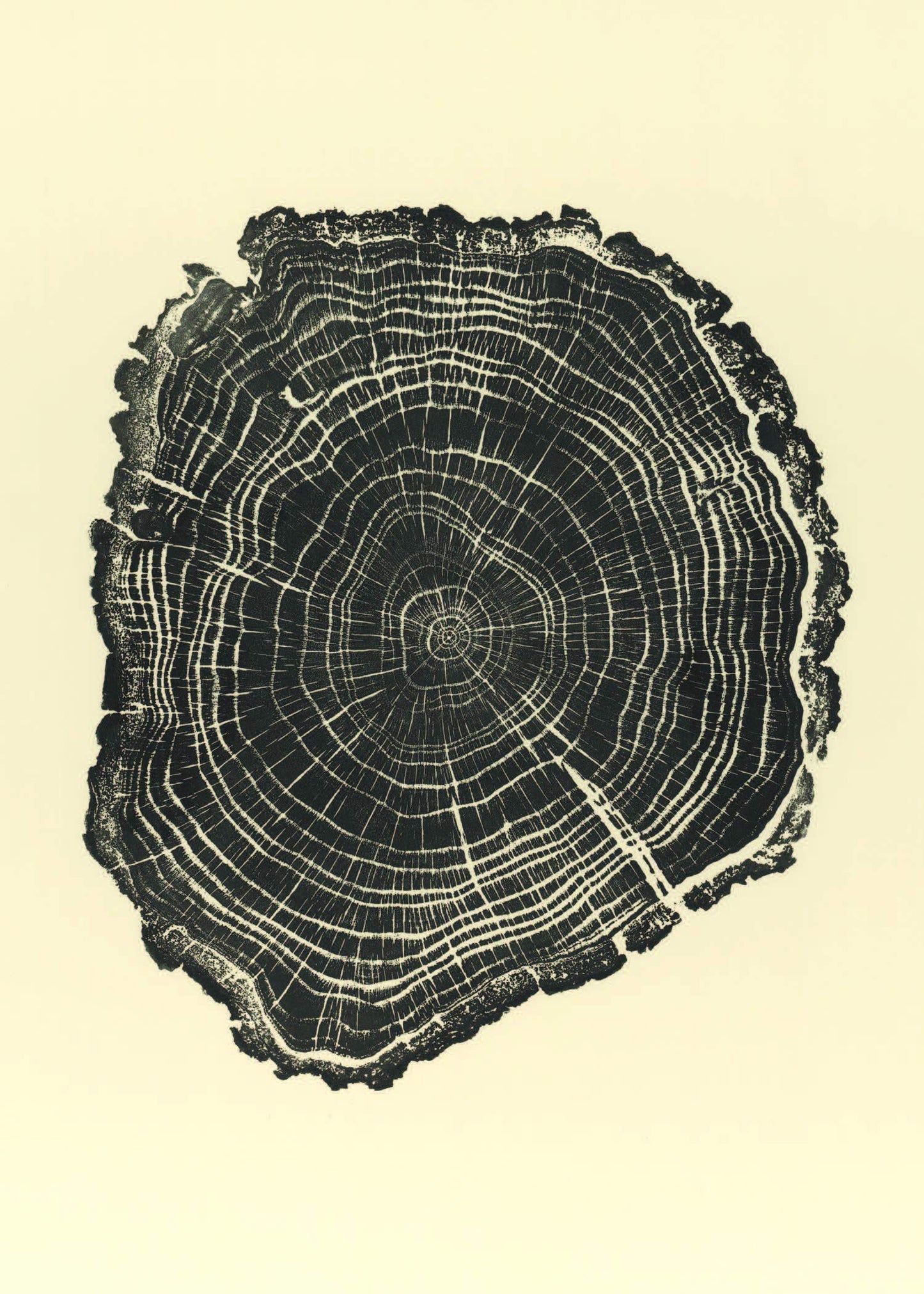 Woodcut 12 assorted notecards