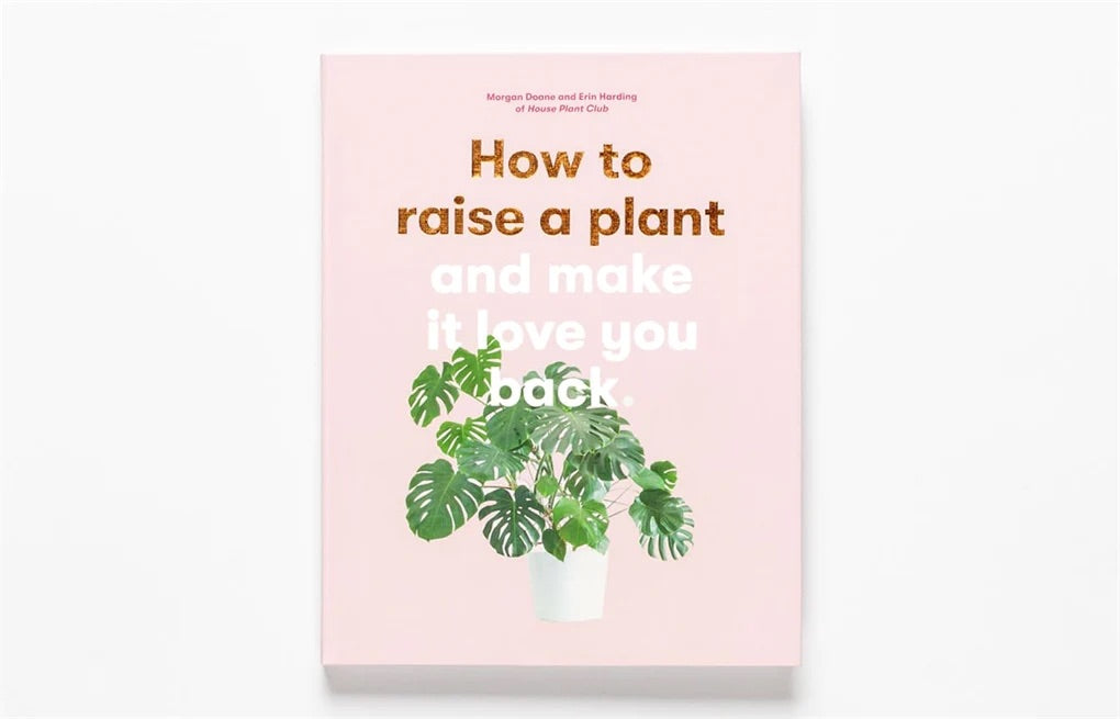 Hoe je een plant grootbrengt
