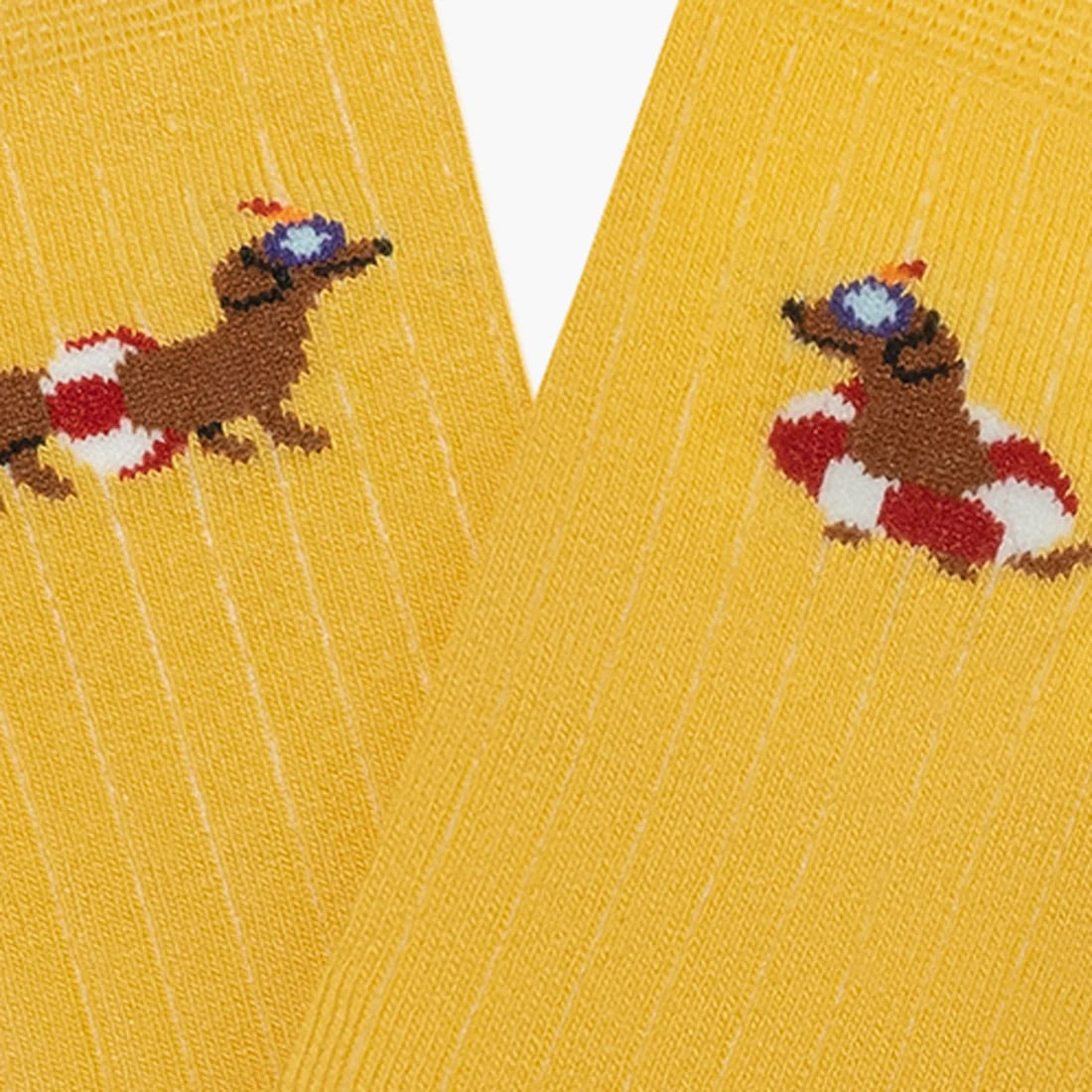 Jimmy lion Kids Ribbed Lifguard dog