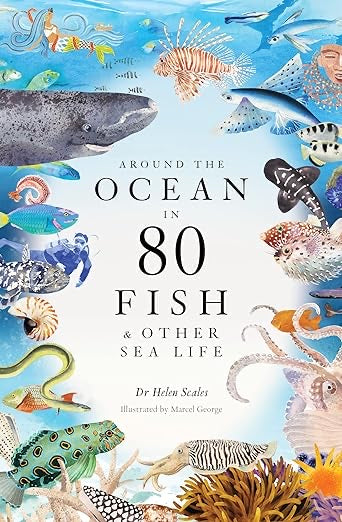Around the Ocean in 80 fish & other sea life