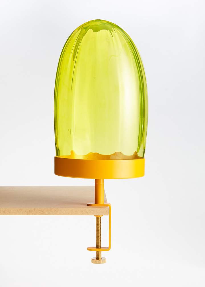 philimonius navet clamp tray mustard 