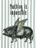 Vanilla Fly Nothing is impossible flying pig