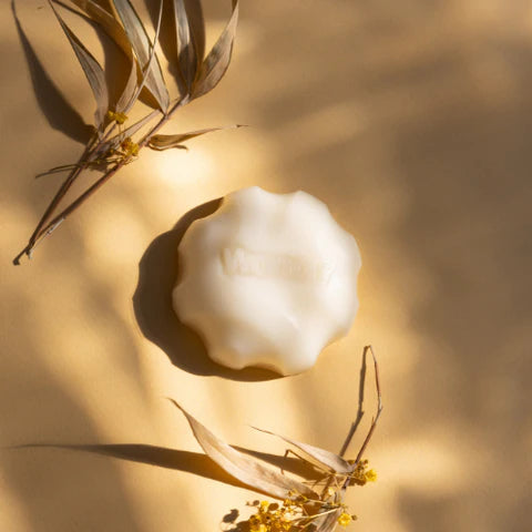 Wondr conditioner bar Melon bij Philimonius
