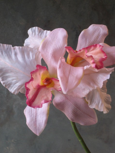 Kunstbloem Cattleya orchidee tak met 2 bloemen pink