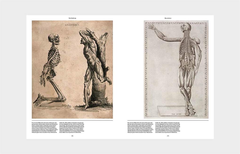 Philimonius boek Laurence King Anatomica