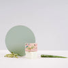 Wondr Shave it baby Shaving bar bij Philimonius
