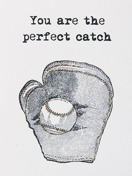 Vanilla Fly You are the perfect catch