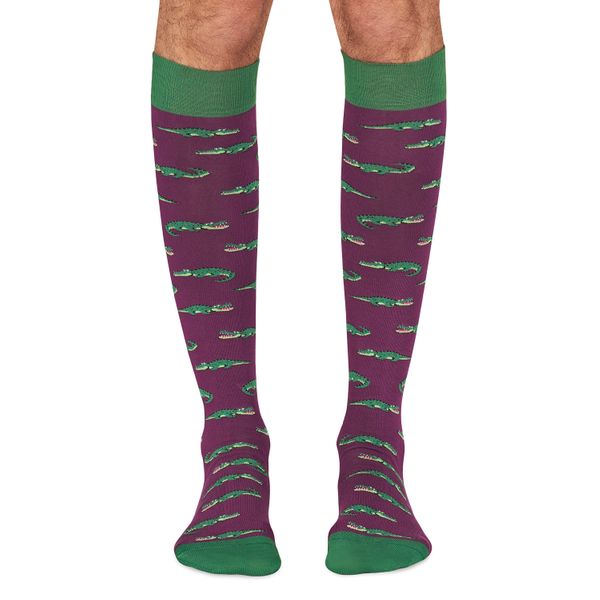 philimonius kousen jimmy lion crocodiles purple lang
