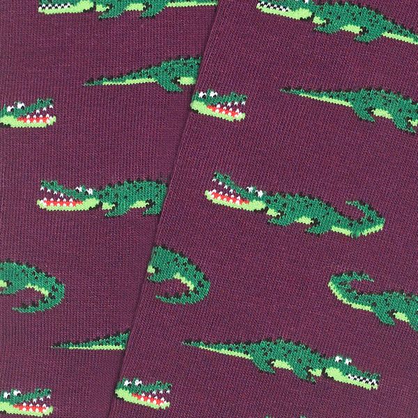 philimonius kousen jimmy lion crocodiles purple lang