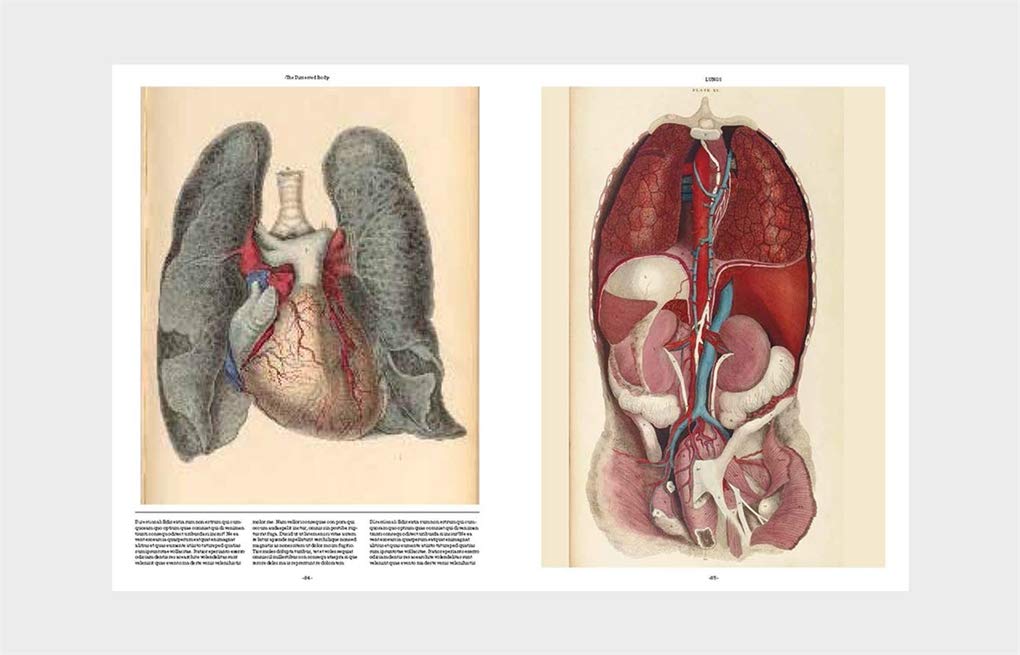 Philimonius boek Laurence King Anatomica
