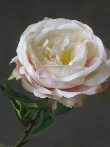 Kunstbloem Equador Rose 30cm cream