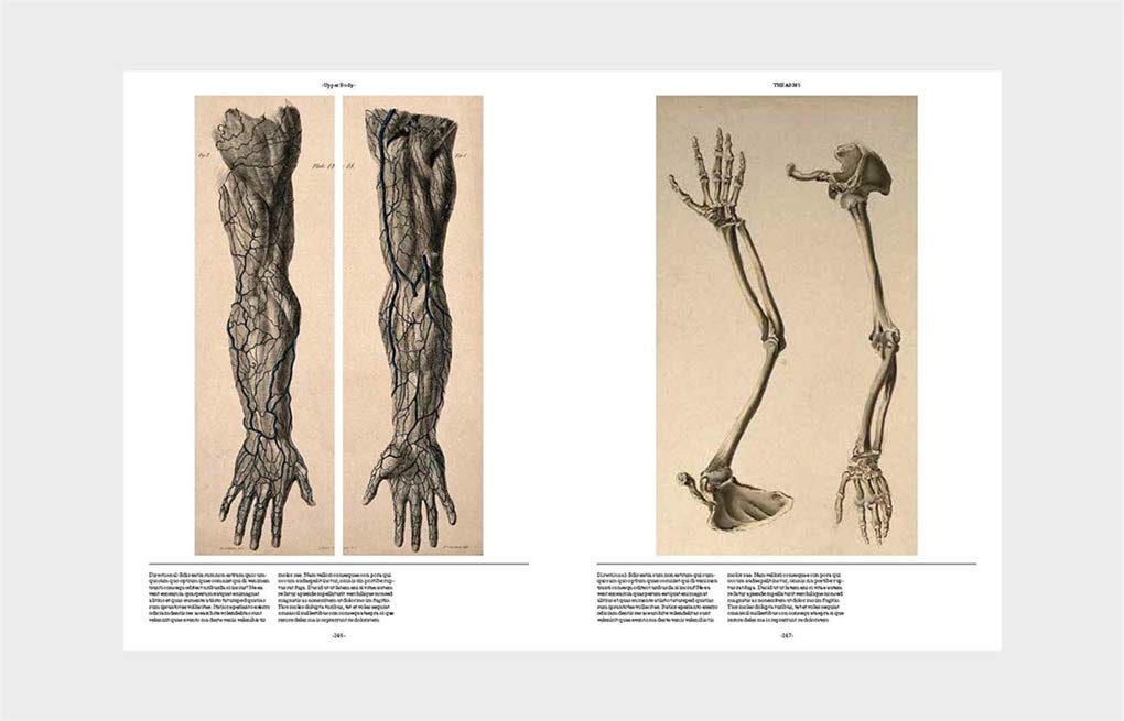 Philimonius boek Laurence King Anatomica
