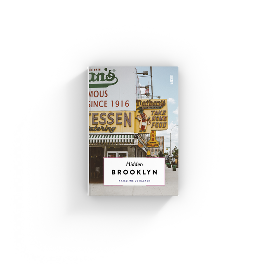 Reisgids Hidden Brooklyn bij webshop Philimonius