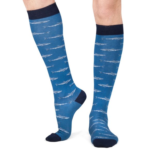 philimonius kousen jimmy lion sharks blue
