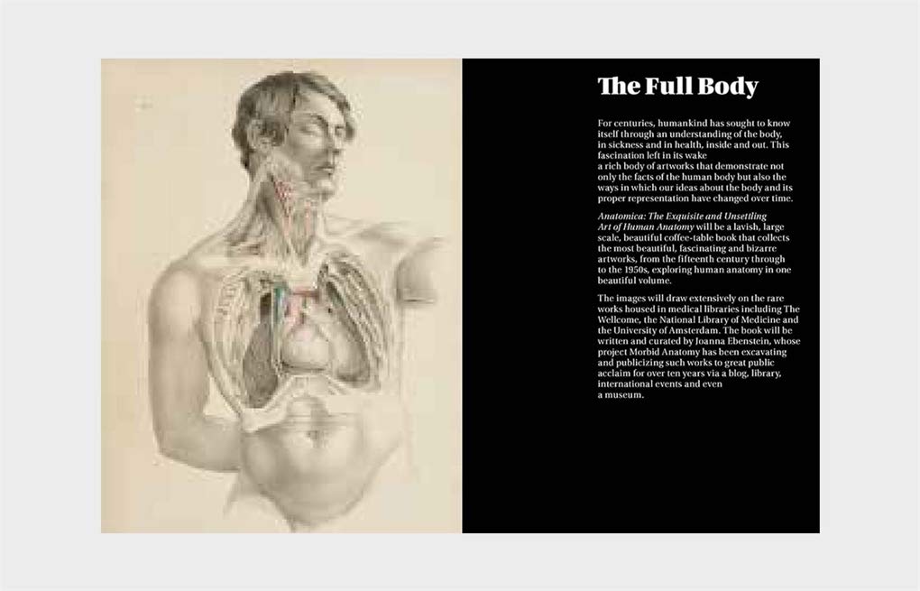 Philimonius boek Laurence King Anatomica