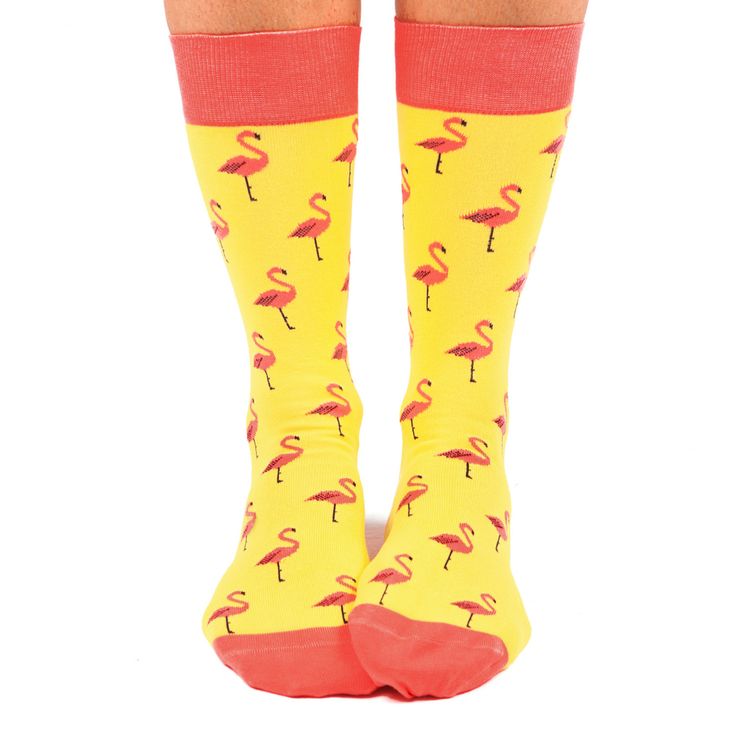 philimonius kousen jimmy lion flamingo yellow