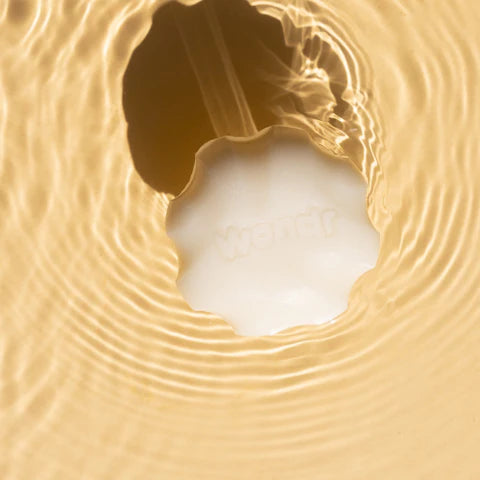Wondr conditioner bar Melon bij Philimonius